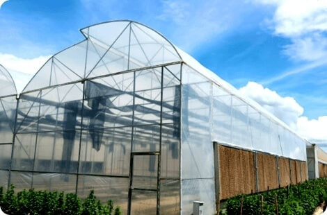 kawayan ecofarm greenhouses