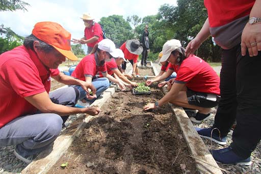 project planting kawayan ecofarm